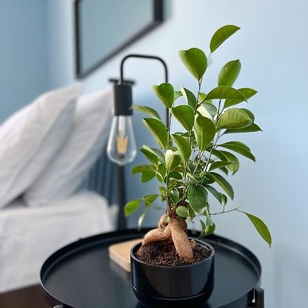 تشيشين Apartamenty Rynek 7 المظهر الخارجي الصورة
