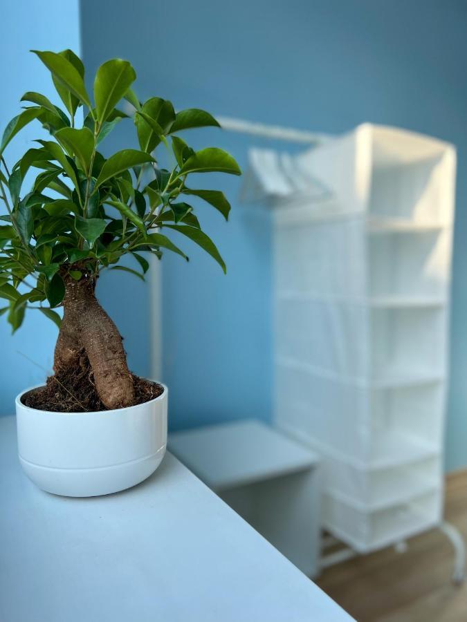 تشيشين Apartamenty Rynek 7 المظهر الخارجي الصورة